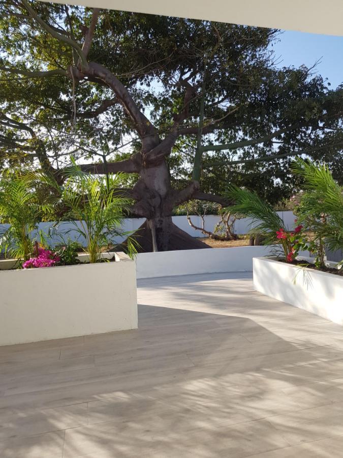 4-Pers Accomodatie Julianadorp, Curacao Βίλλεμσταντ Εξωτερικό φωτογραφία