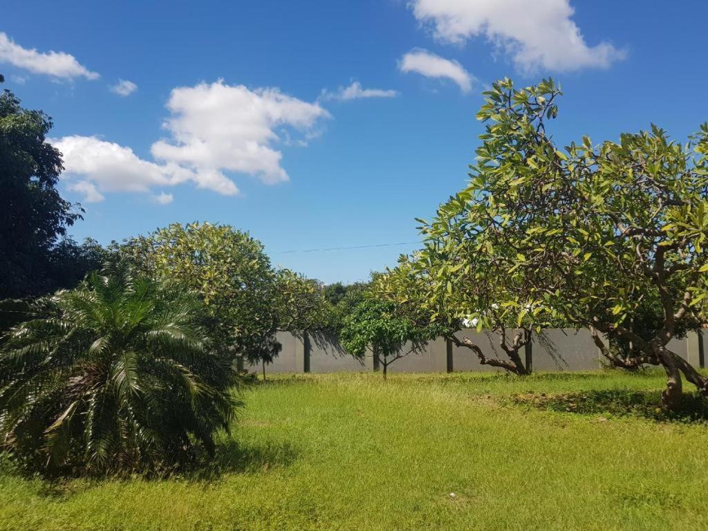 4-Pers Accomodatie Julianadorp, Curacao Βίλλεμσταντ Εξωτερικό φωτογραφία